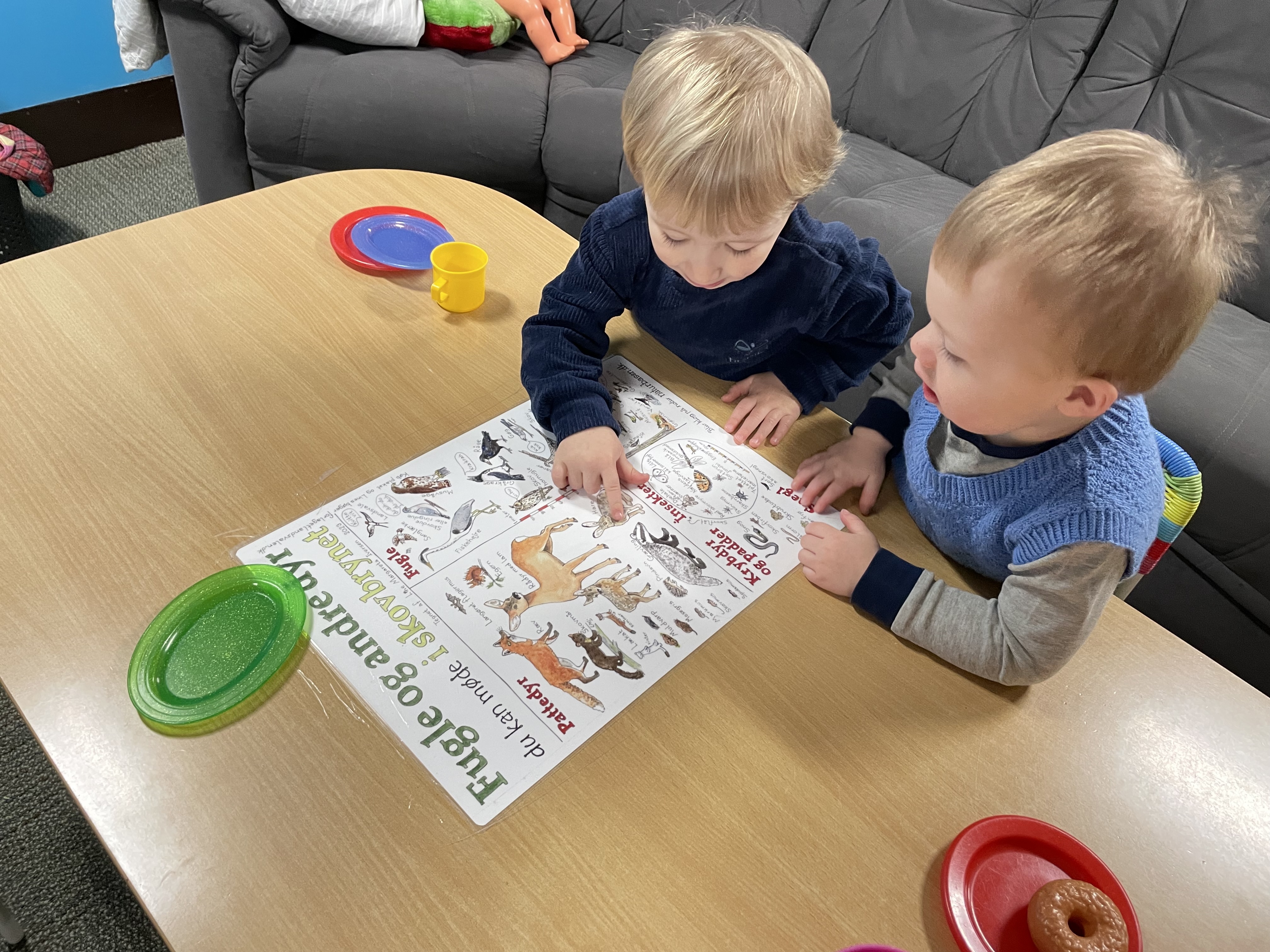 Forlaget Landsvalen - Aktivitetspakke